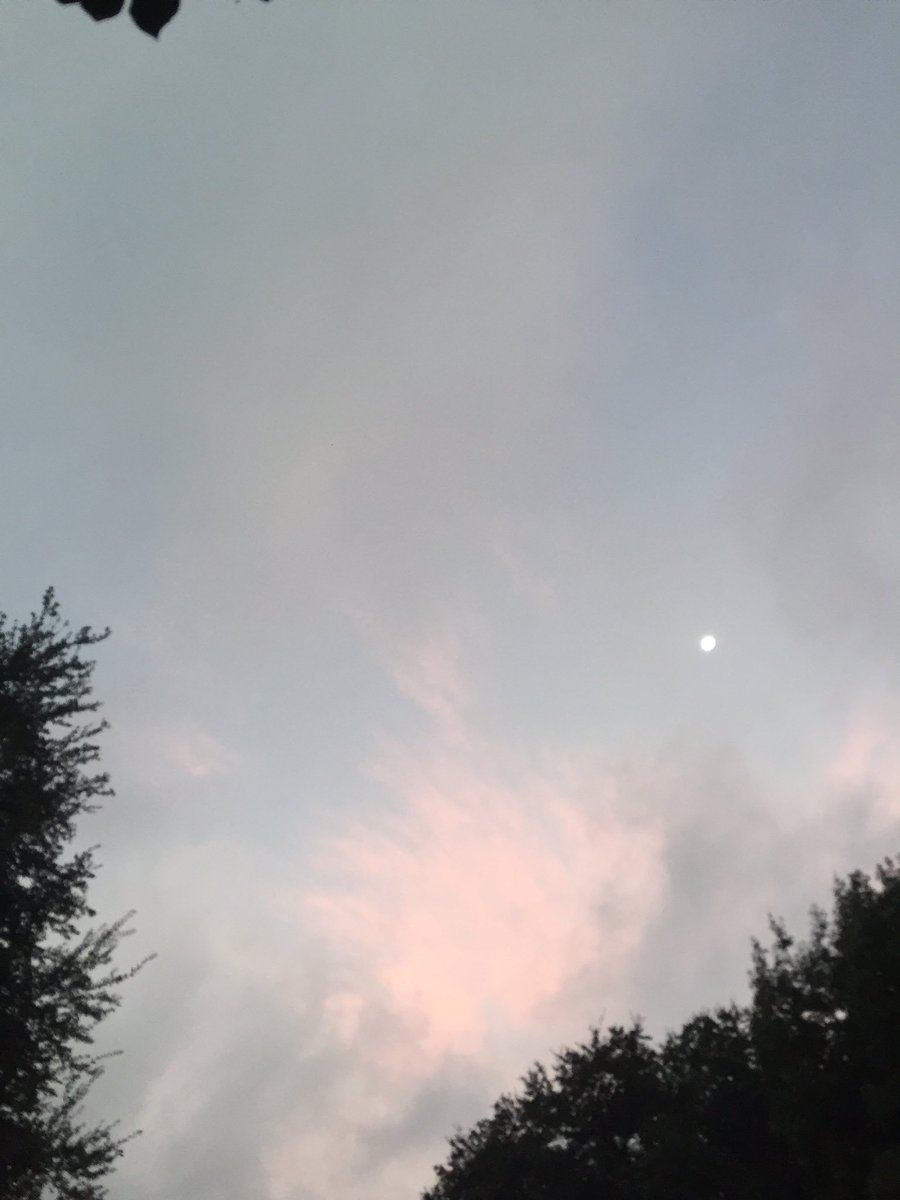 runnergals's tweet photo. Sorry I haven't posted recently, I've been busy! This morning I ran for the first time in a while and couldn't be happier! #lessonlearned 😊 https://t.co/aL3NUmNkrS
