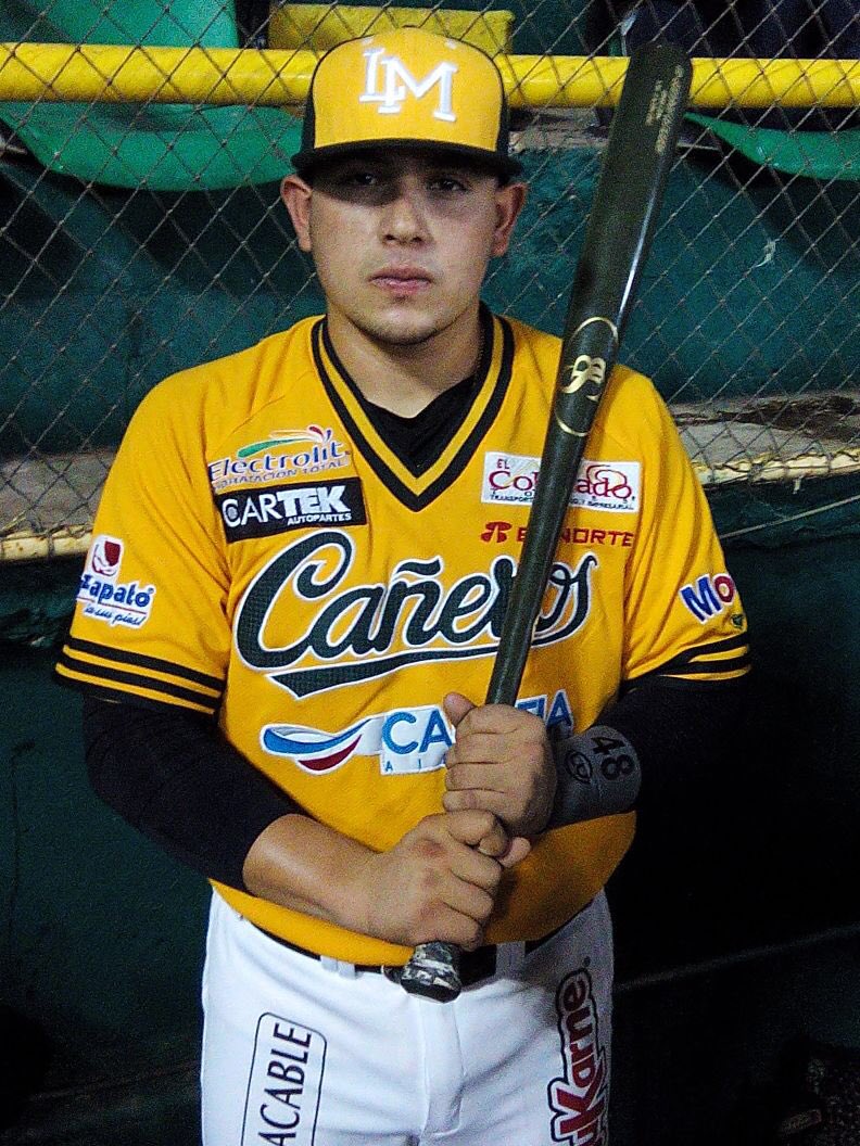 Santanabats's tweet photo. Santana Bat MOD RA48 #HitThatPitch Rodolfo Amador de Cañeros de Los Mochis. ¡Ordena el tuyo! https://t.co/8YpWfdJkGD