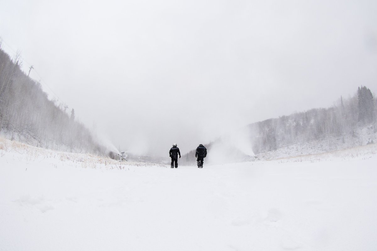 Sandy Airbnb (SandyAirbnb) Twitter