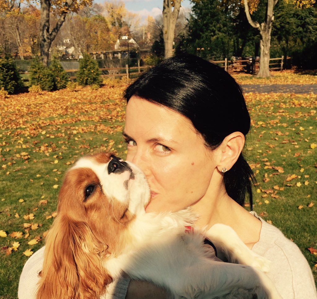 Bespokevetservice tweet media