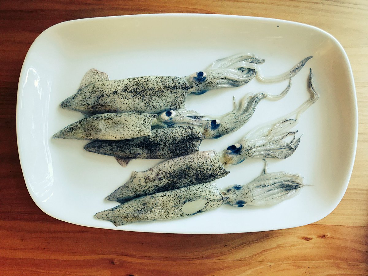TheShuckery's tweet photo. Look what swam in for dinner tonight Fresh Monterey Calamari. Before and After @twoxsea https://t.co/fErvM8pQia