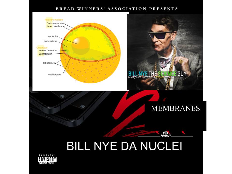 BillNyeDaNuclei's tweet photo. I GOT 2 MEMBRANES!!! One to enclose the nucleoplasm and one to form pores... #KevinGates #WHS2016Slampaign https://t.co/H3K9CSmu9R