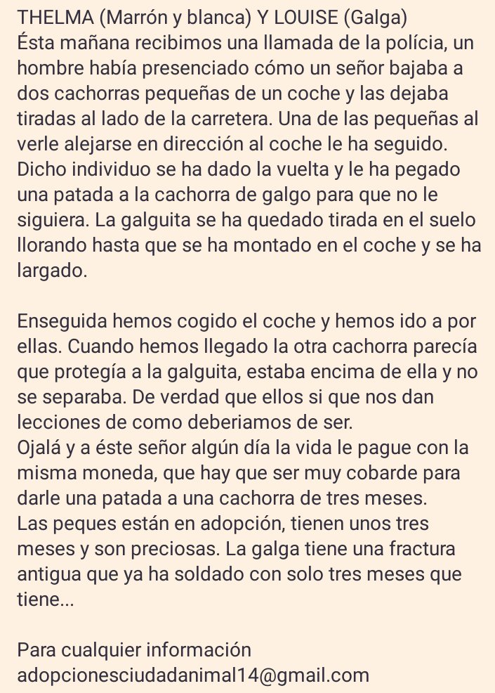 THELMA Y LOUISE, cachorritas tiradas en la carretera hoy, al parecer antes de irse, el individuo les ha pegado unas patadas...💔¡AYUDA!😢
