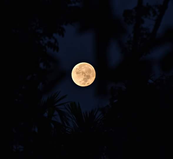 evil_reloaded09's tweet photo. the Super Moon, through my lens! ๐ #supermoon #Bangladesh #Sylhet #nasasupermoon https://t.co/lCrBmIE0jq