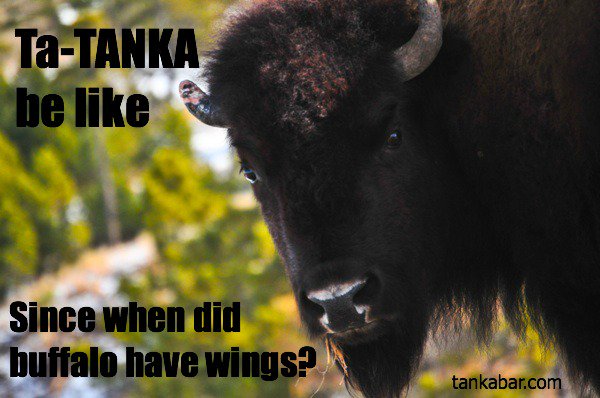 ArchieMooresCT's tweet image. #archiemoores #buffalowings #tatanka #wrestling