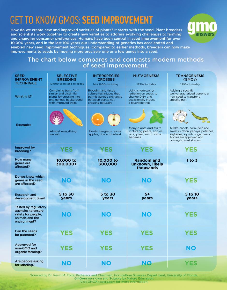 GMOAnswers's tweet photo. Are grapes 🍇 that taste like cotton candy🍬 GMOs? Nope, they're made through traditional breeding. See 4 modern methods of seed improvement. https://t.co/NcatYPqN0z