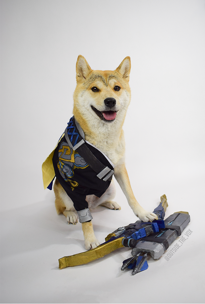 Outside_the_Vox's tweet photo. Hanzo Doge #Overwatch https://t.co/bTcL4wQ8Dh