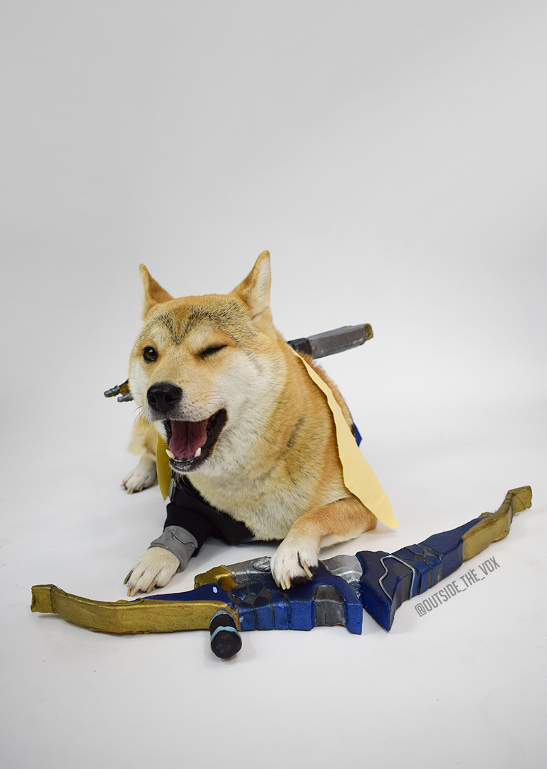 Outside_the_Vox's tweet photo. Hanzo Doge #Overwatch https://t.co/bTcL4wQ8Dh