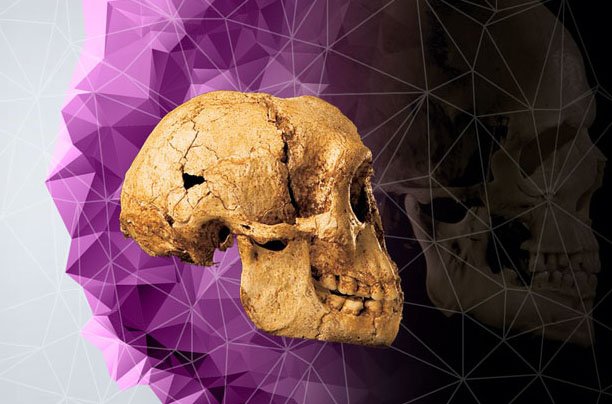 3D printing and scanning in schools gives life to biology - bit.ly/2fZVYny - #3dprinting #3dprinter