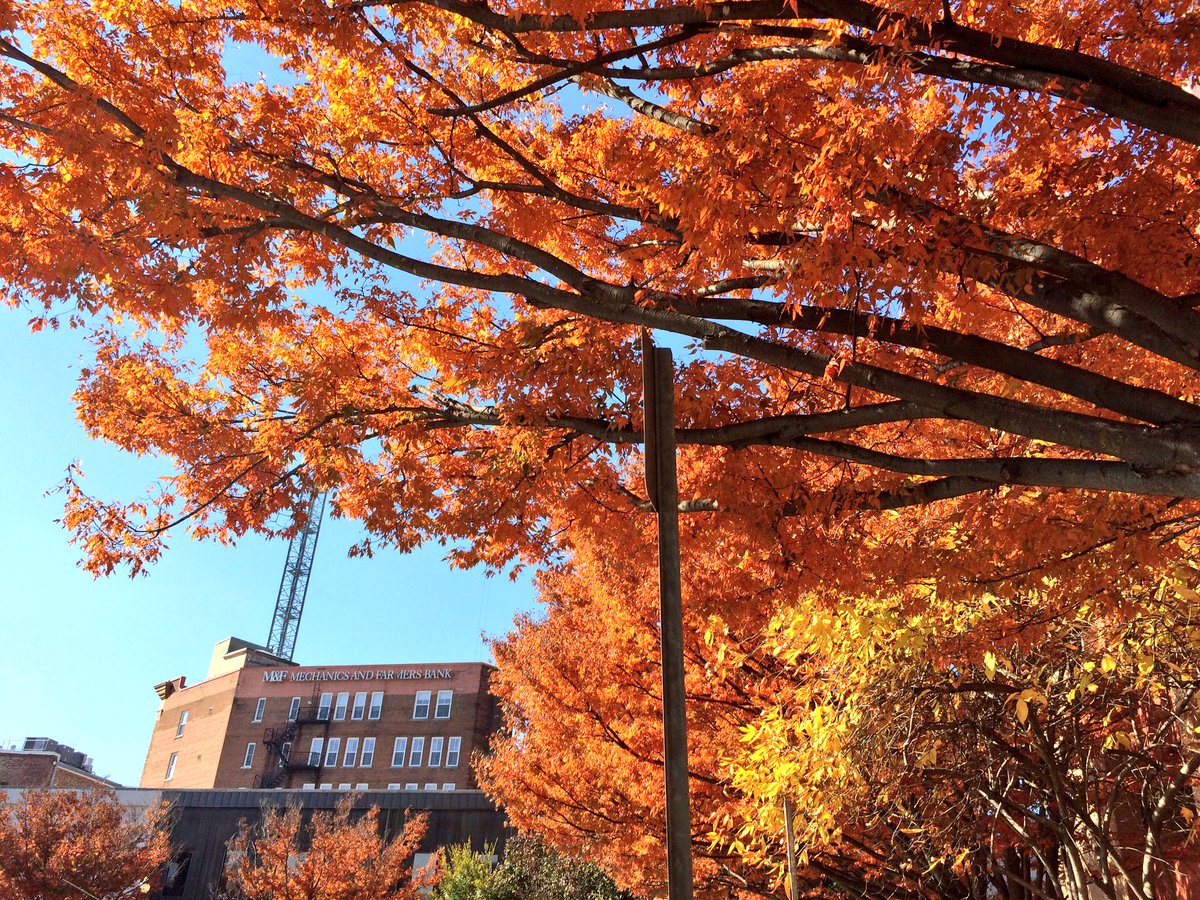 CityofDurhamNC on Twitter "Ahhh...fall in Durham.…