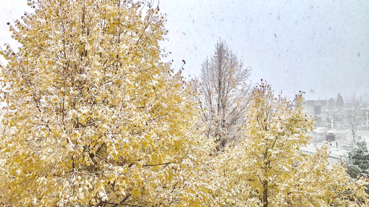 Brandy_Busby's tweet photo. Finally! #makecoloradosnowagain https://t.co/8TVwKq2xaa