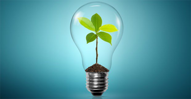 SoftMarketingCC's tweet photo. Green Initiatives for a Green Office Space https://t.co/e9VDNRmag9 https://t.co/bMkOnDZ90Q