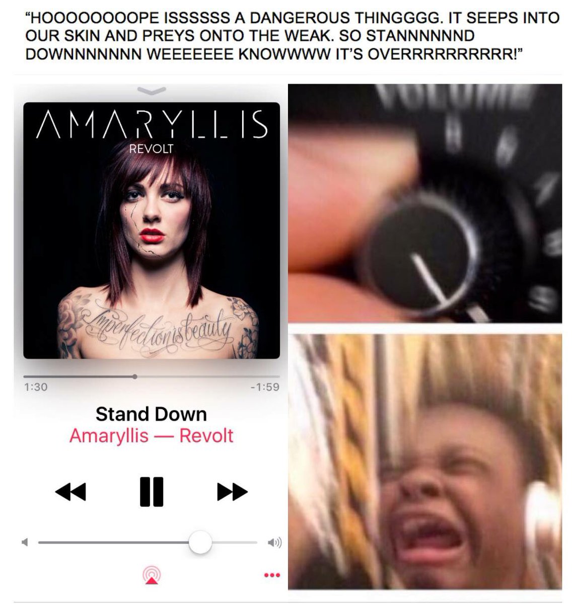 Amaryllis (@amaryllisuk) on Twitter photo 