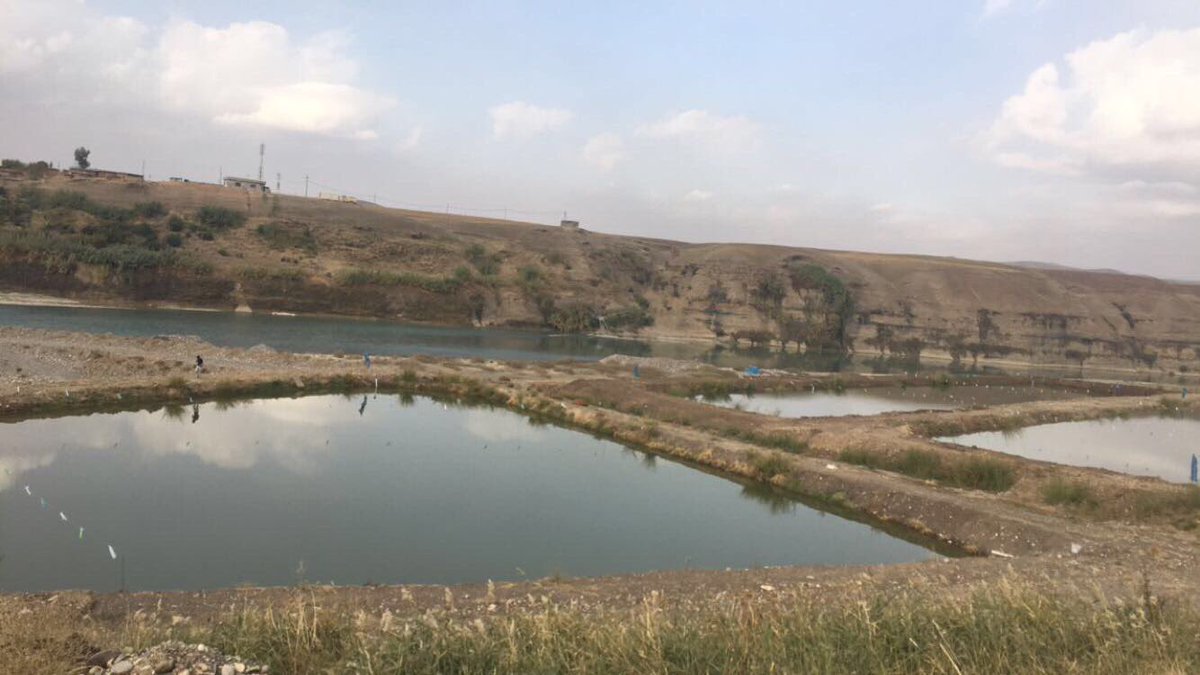 slvia_salam's tweet photo. #today #scientifictrip #shaqlawa #gasko #kudistan #fishpond #carp #salmon😊⛰ https://t.co/rfcjAWtE63