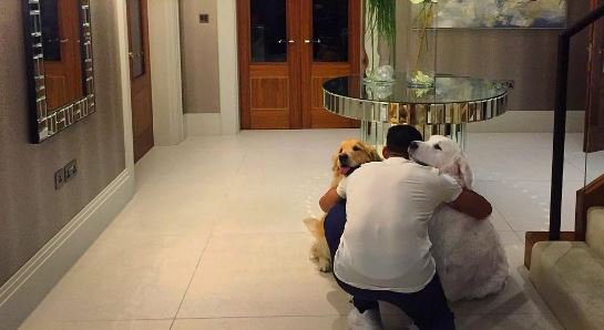 nachoarsenal's tweet photo. #AlexisIsBack.
Alexis Sánchez ya está en Londres junto a sus mascotas Humber y Atom. https://t.co/FnuVfzXpoq