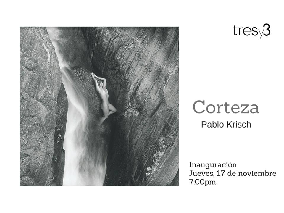 #HOY Jueves 17 Noviembre 7PM #expo "Corteza" de Pablo Krisch en galería <a href="/CulturaTRESy3/">culturatresy3</a> · Las Mercedes