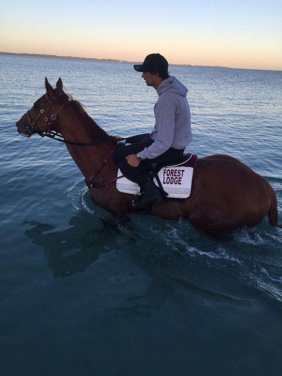 J_MacRacing's tweet photo. #Startum Star @waltzingcullen @DKWeirRacing #Perth #Kingston Town #2Weeks https://t.co/lUAIYKLOPI