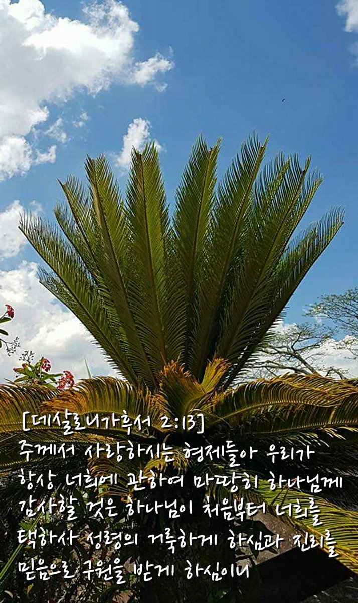 [데살로니가후서 2:13] 주께서 사랑하시는 형제들아 우리가 항상 너희에 관하여 마땅히 하나님께 감사할 것은 하나님이 처음부터 너희를 택하사 성령의 거룩하게 하심과 진리를 믿음으로 구원을 받게 하심이니