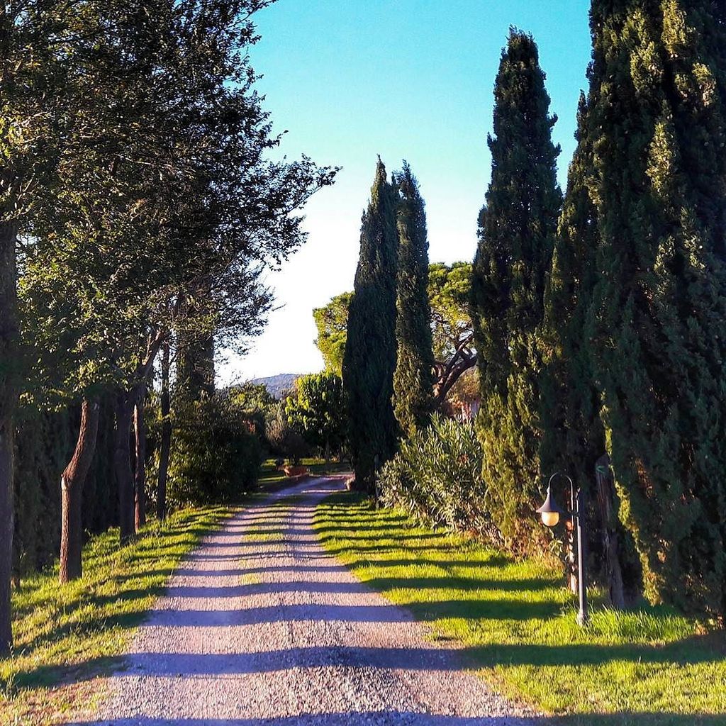 ItaliAnaGrassi's tweet photo. Toscana 🌳🌳🌳🌳🍁🍁🍁🍁🍁 https://t.co/950MFVhGeZ https://t.co/b8CafRvIip