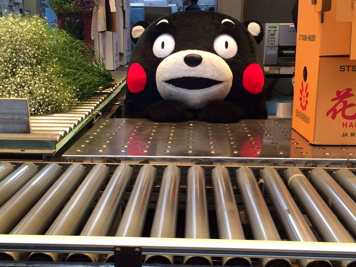 おはくま〜!ばっ!!ここは…?