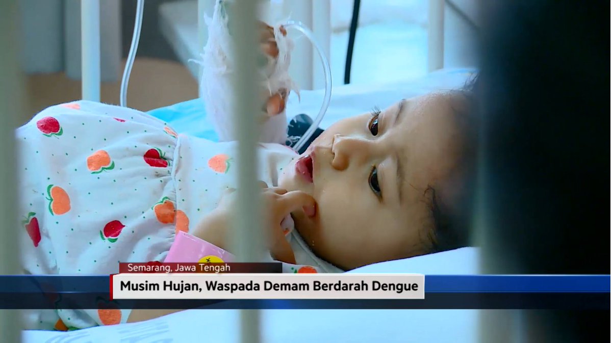 netjateng's tweet photo. ANCAMAN LAIN DI MUSIM HUJAN YANG PERLU DIWASPADAI ADALAH MENINGKATNYA POPULASI NYAMUK PENYEBAB PENYAKIT DEMAM BERDARAH. #netjateng https://t.co/Vwmz3R4Pbk