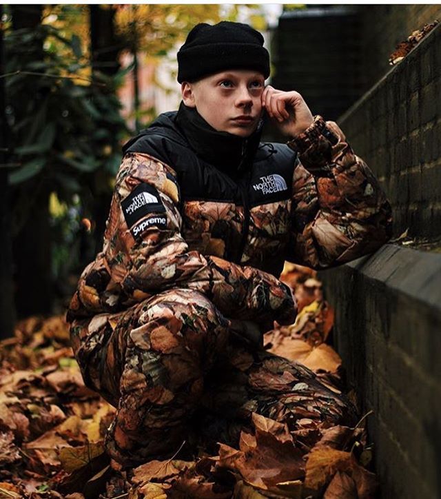 着画】 シュプリーム (SUPREME) × ザ ノースフェイス (THE NORTH FACE