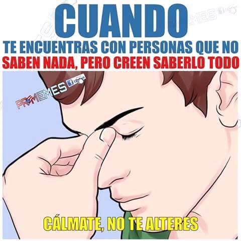 Conejosgrises • (@conejosgrises) on Twitter photo 