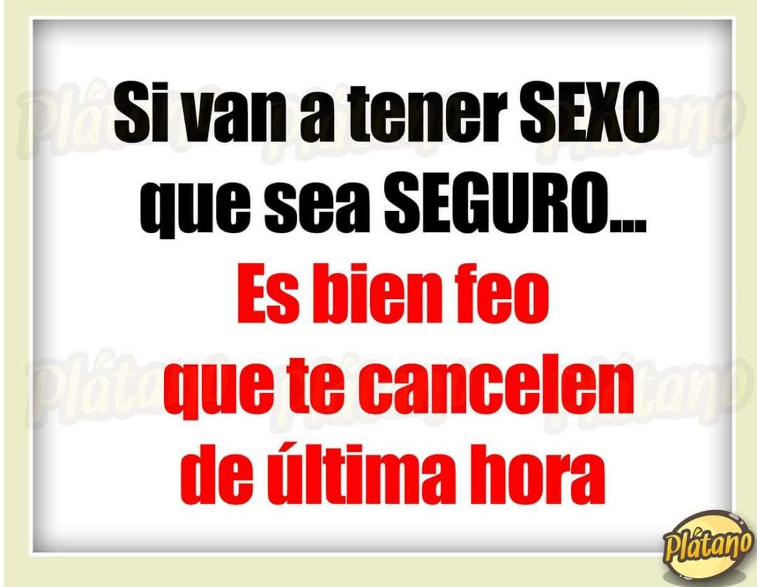 Conejosgrises • (@conejosgrises) on Twitter photo 