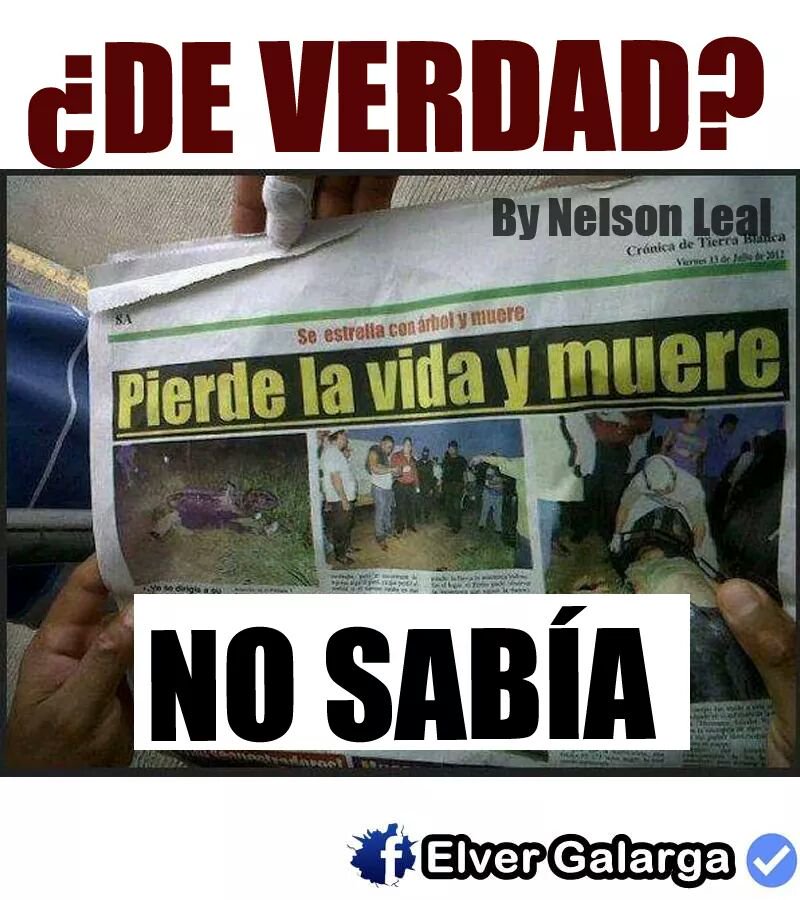 Conejosgrises • (@conejosgrises) on Twitter photo 