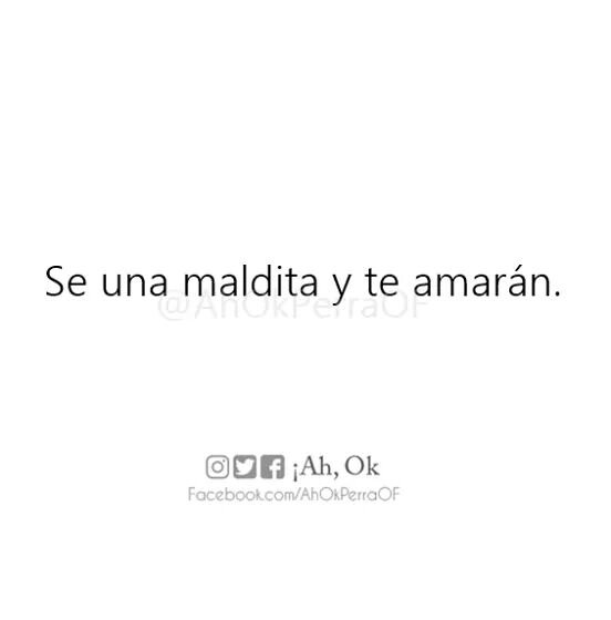 Conejosgrises • (@conejosgrises) on Twitter photo 