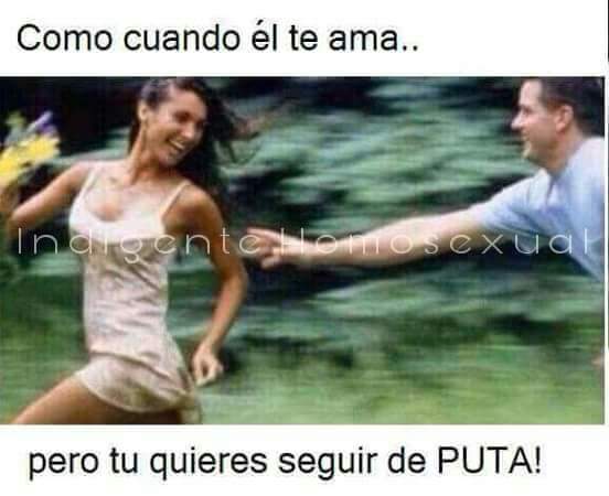 Conejosgrises • (@conejosgrises) on Twitter photo 
