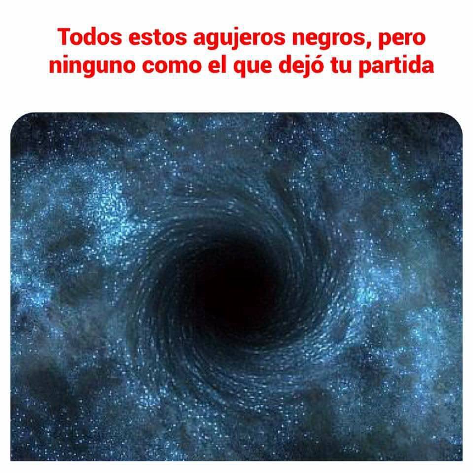 Conejosgrises • (@conejosgrises) on Twitter photo 