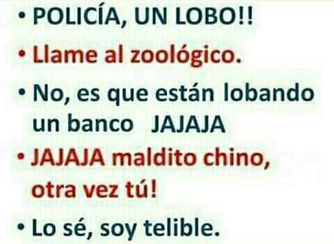 Conejosgrises • (@conejosgrises) on Twitter photo 