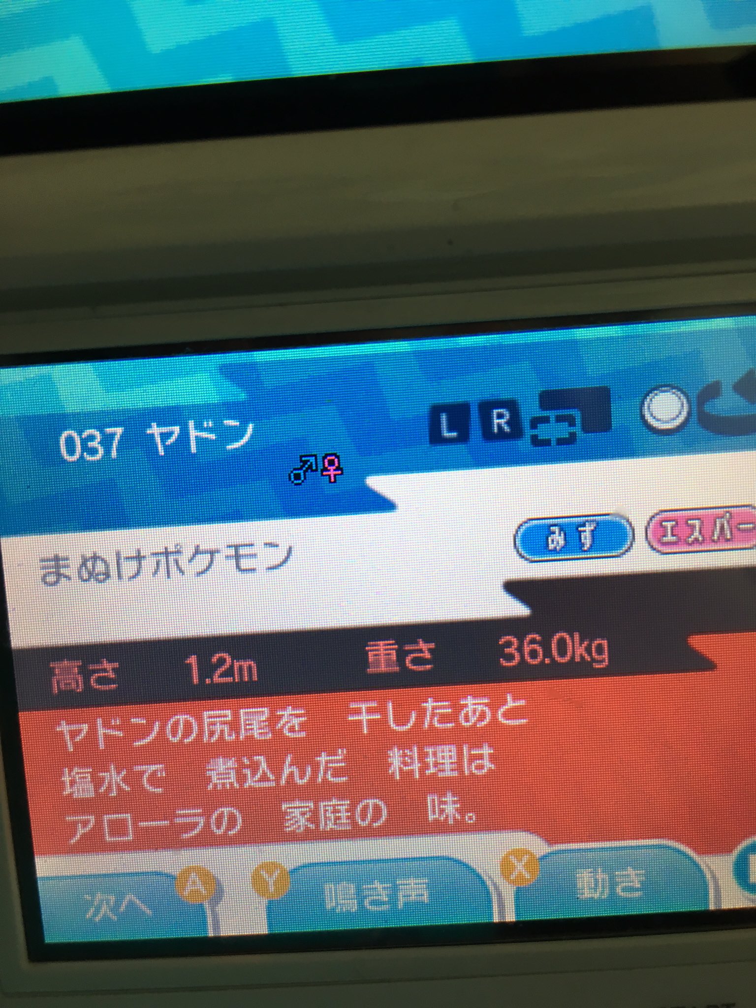 しょこたん発見 ヤドンのしっぽは 味 Twitter