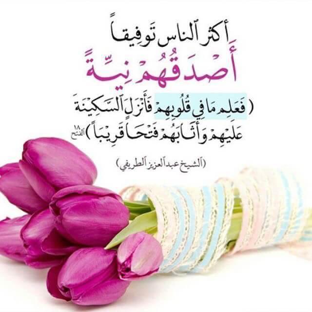 aaa5156's tweet image. 