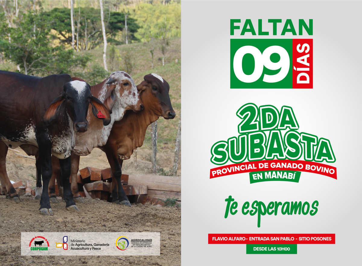 --->> A 09 Días ::CORPOGAM, MAGAP, AGROCALIDAD Y BANECUADOR, Organizadores de la Segunda Subasta Provincial en Manabí:: *Te Esperamos*
