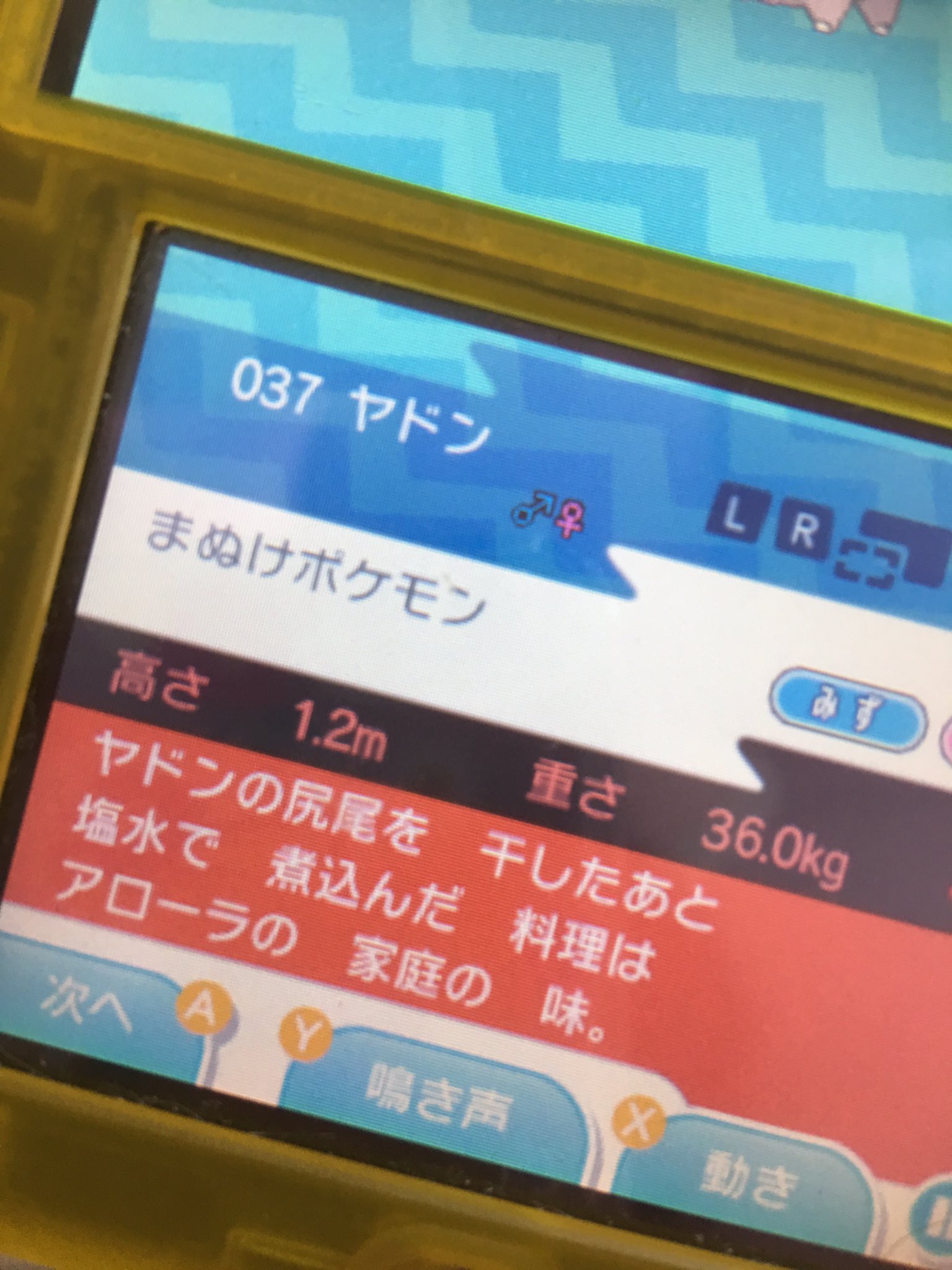 しょこたん発見 ヤドンのしっぽは 味 Twitter