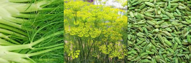 Nitty Grits tweet media