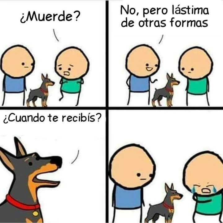 LaGrondonaTwitt's tweet photo. Perdón, pero me reí. https://t.co/zs4oMHE0uv