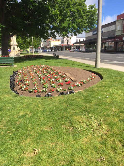 Christmas display bloomers have arrived &amp; gardening staff have started planting them into the Town Hall block. #xmasinballarat #loveballarat