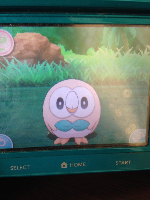 アシマリのtwitterイラスト検索結果