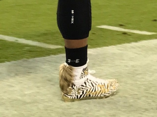 cam newton foxtail cleats