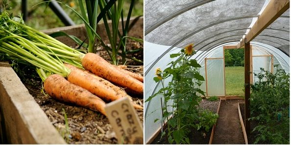 Becoming A More Self Sufficient Homesteader With These 28 Tutorials - homesteadingfreedom.com/becoming-a-mor…