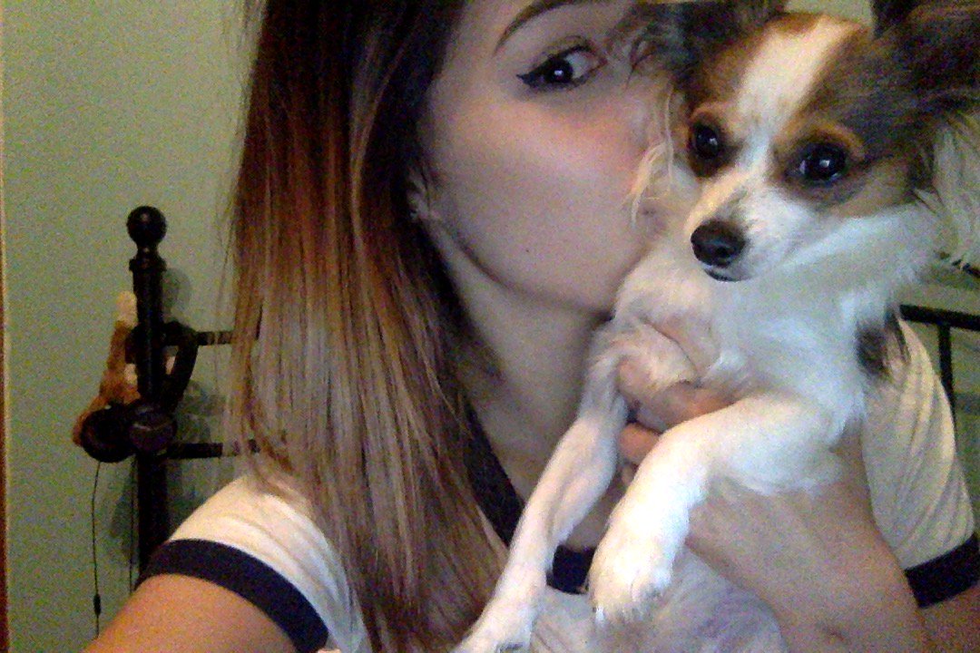 CDD_Designer's tweet image. I bribed her to look with some food