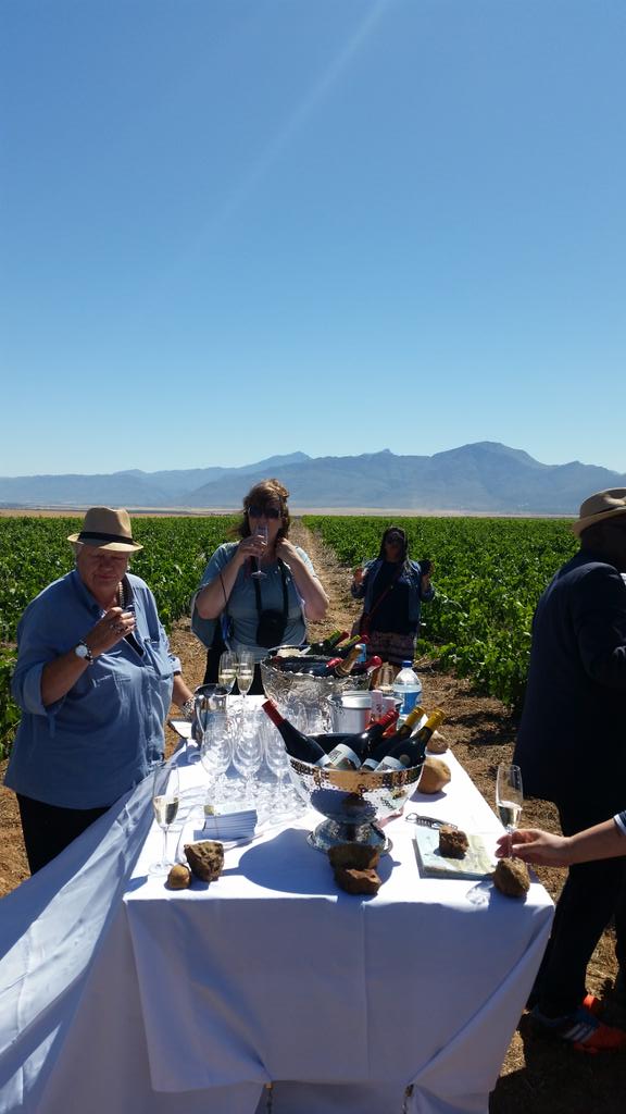 winecoza's tweet photo. Great start to day 2 of @Swartland Wine &amp; Olive Route's 30th anniversary in @Riebeek_Cellars vineyards #SWR30 https://t.co/9ZZtjamlJb
