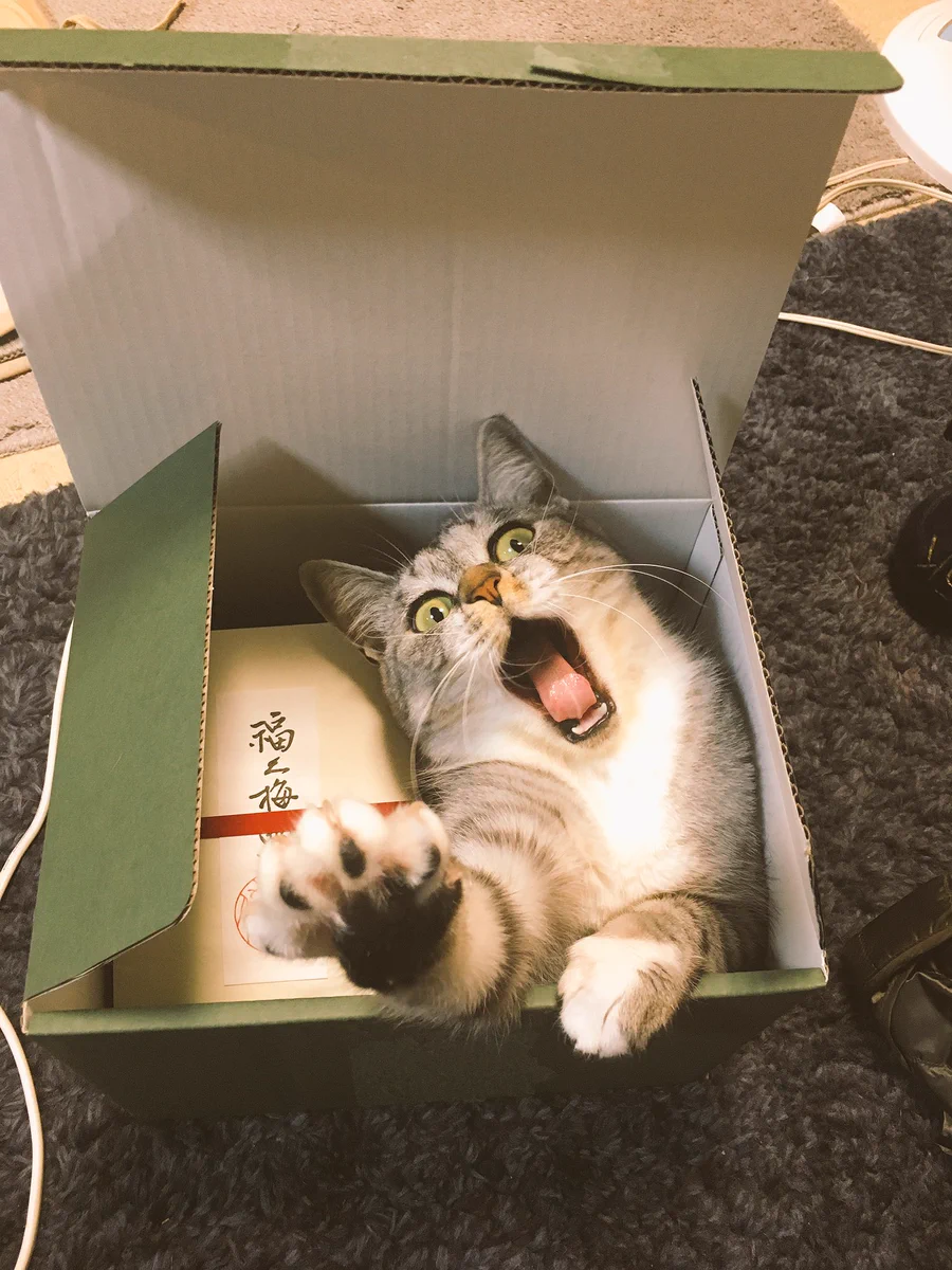 飛び出すお歳暮ｗｗこれはちょっと怖いかもｗｗ