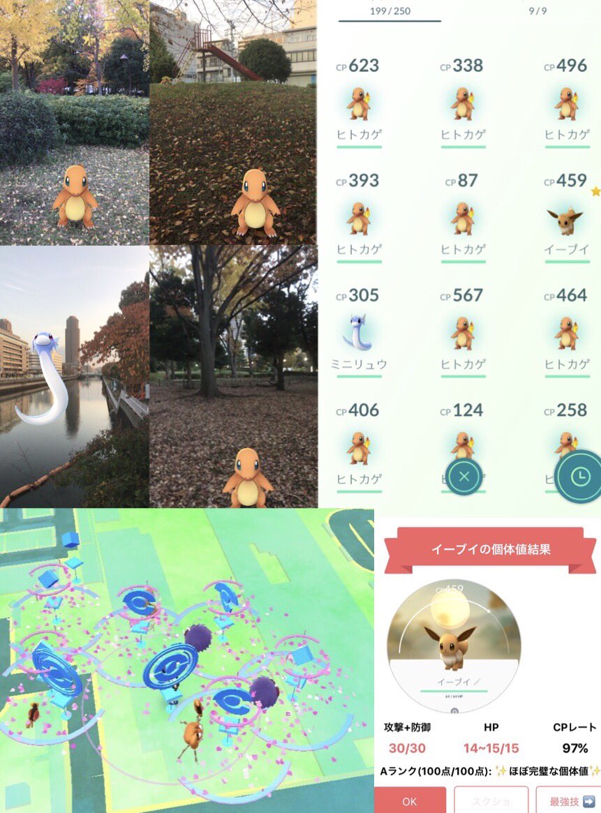 ポケモンgo 東京のヒトカゲの巣 猿江恩賜公園 が聖地に 時給二桁 カビゴン定期湧き ポケモンgo攻略まとめ速報 ポケモンgo 東京のヒトカゲの巣 猿江恩賜公園 が聖地に 時給二桁 カビゴン定期湧き ポケモンgo攻略まとめ速報