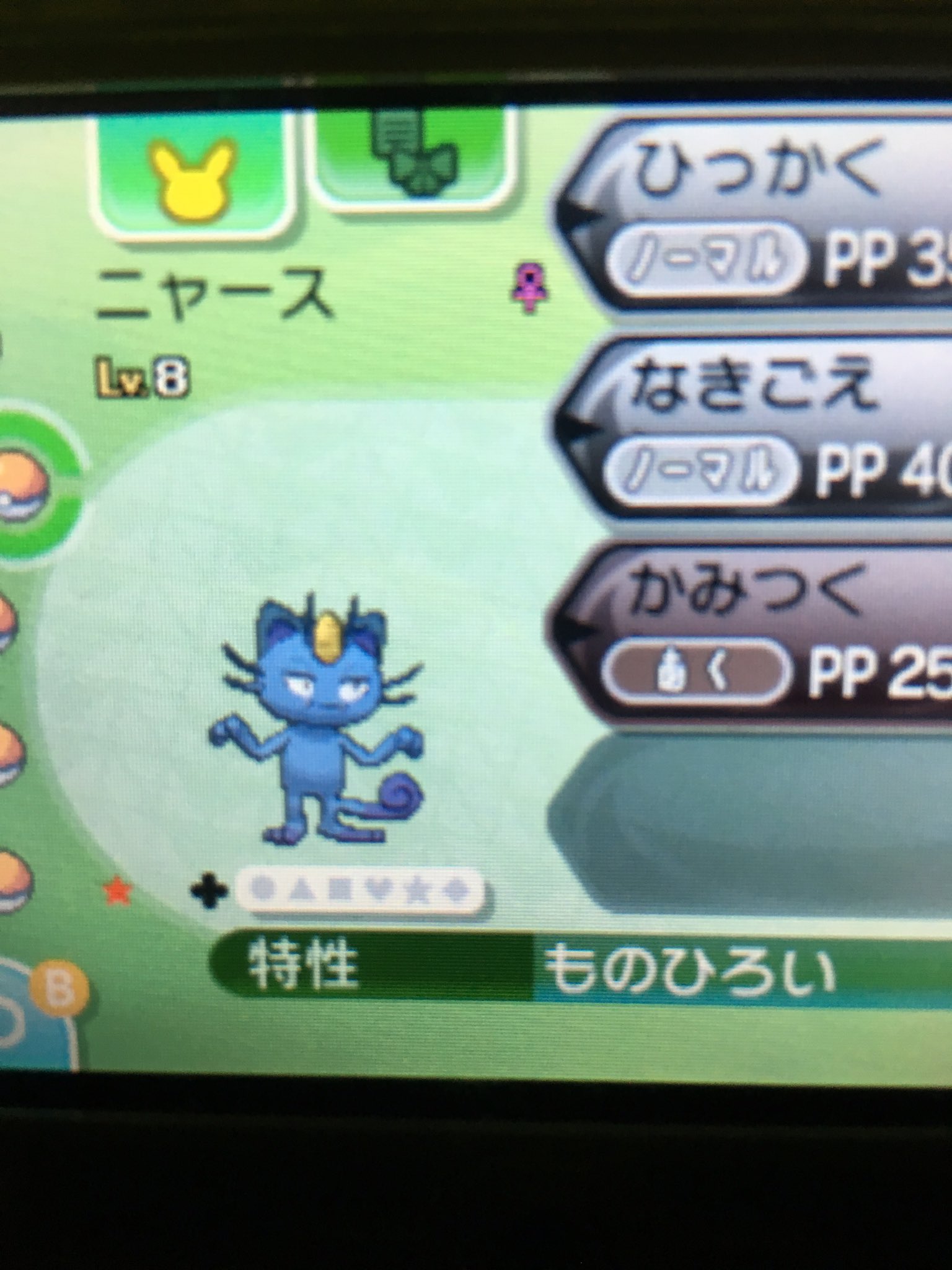 Now On Sale Hiwa アローラ地方の色違いのニャースgetした ポケモンサンムーン T Co G7c4sy1qyu Twitter Now On Sale Hiwa アローラ地方の色違いのニャースgetした ポケモンサンムーン T Co G7c4sy1qyu Twitter