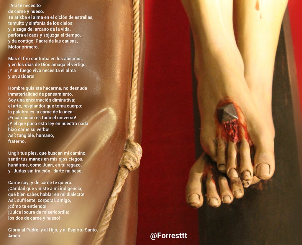 Forresttt's tweet photo. #laudes himno

Ungir tus pies, que buscan mi camino
sentir tus manos en mis ojos ciegos https://t.co/pr4sjZ8ksi