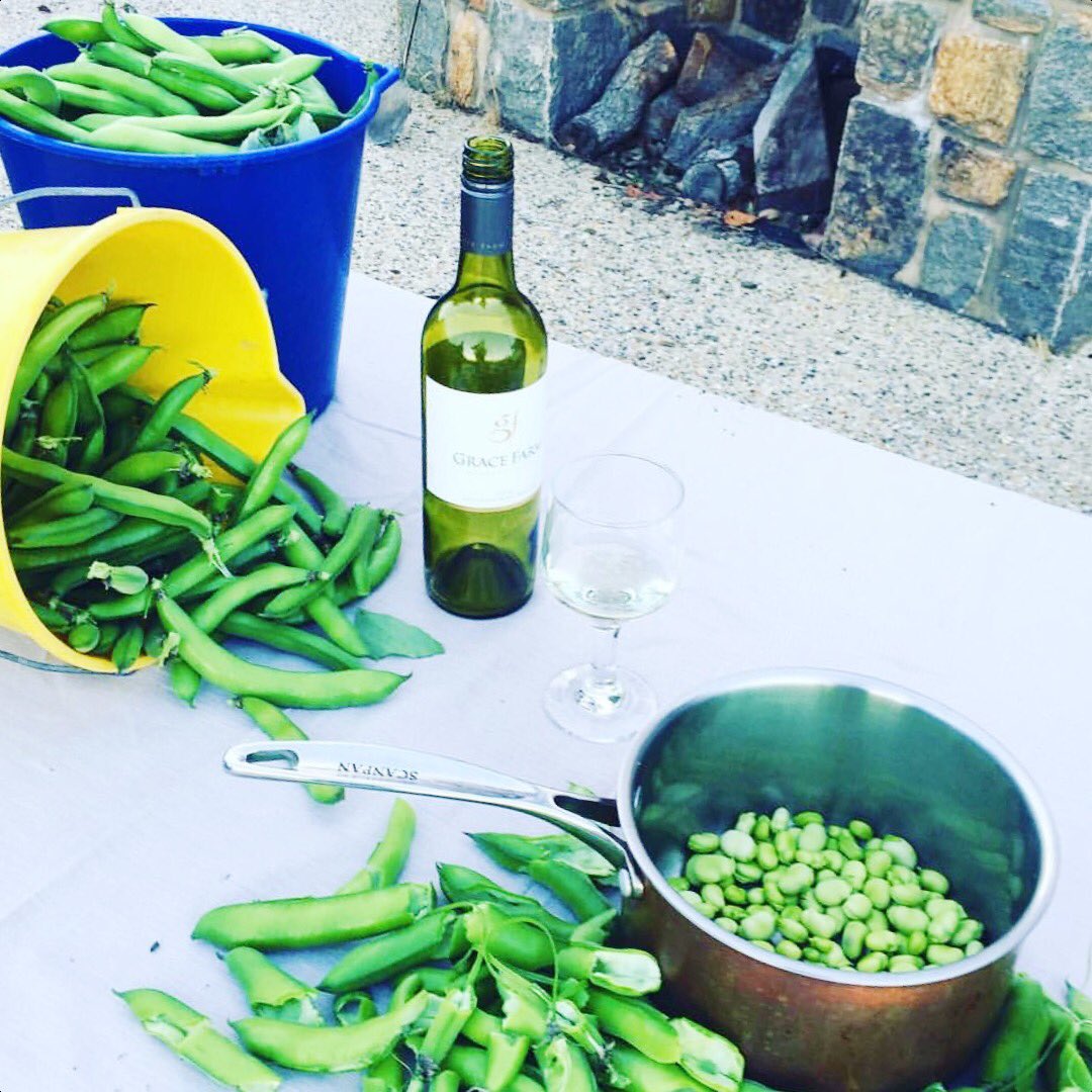 GraceFarmMR's tweet photo. Almost lunch time at #GraceFarm. Fresh, seasonal produce for the #longtablelunch #MargaretRiver @GourmetEscape https://t.co/yBJ4fhylzP